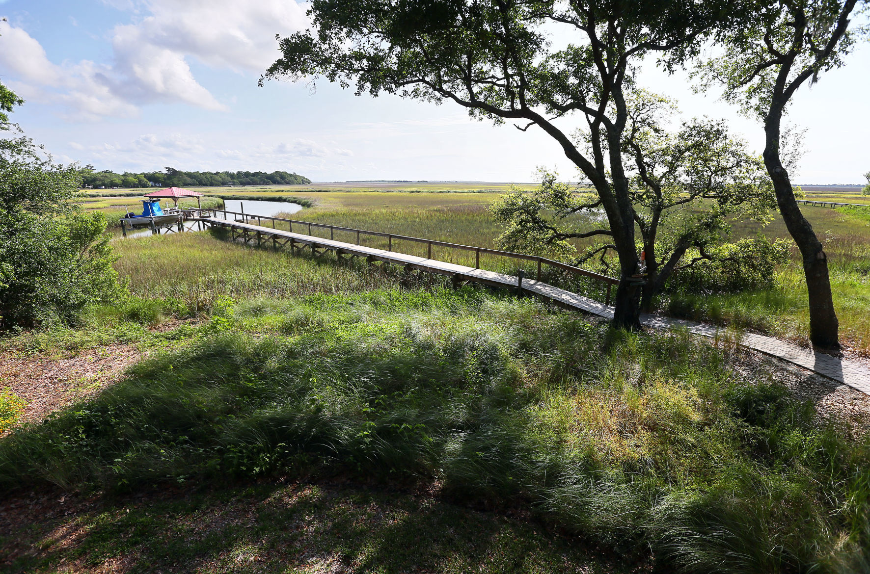 landscape dhec dock.jpg